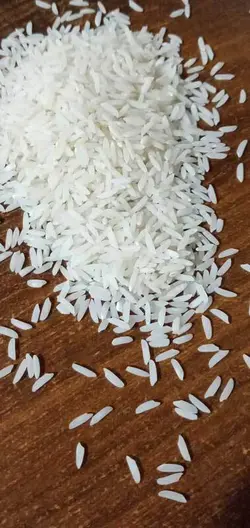 طارم محلی کشت اول | تیم بینج | طارم محلی کشت اول