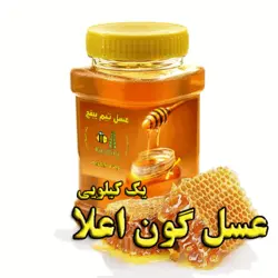 عسل طبیعی گون یک کیلویی | تیم بینج عسل طبیعی گون اعلا چهل گیاه
