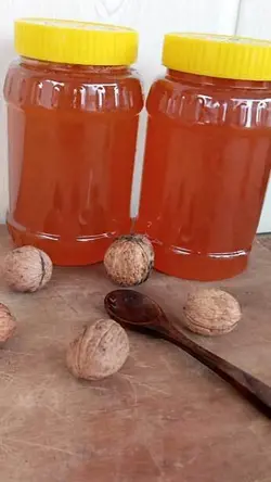 عسل طبیعی گون یک کیلویی | تیم بینج عسل طبیعی گون اعلا چهل گیاه