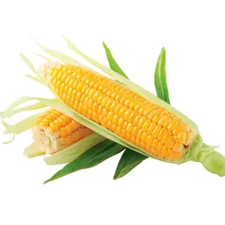 بلال