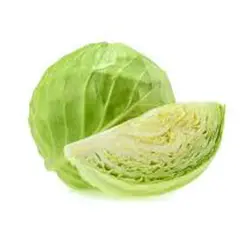 کلم پیچ سبز