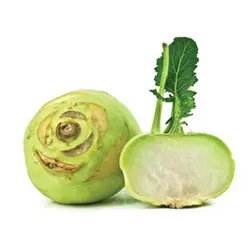 کلم قمری