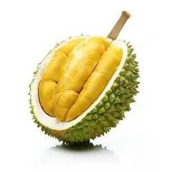 خارگیل