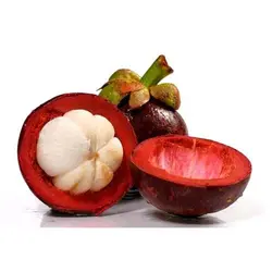 ترگیل