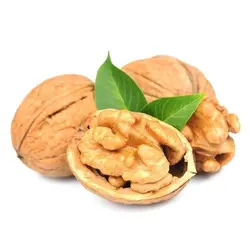 گردو تازه