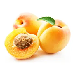 قیسی