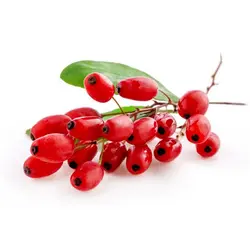 زرشک تازه