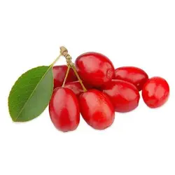 زغال اخته
