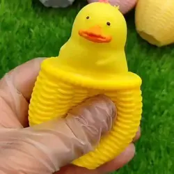 فیجت بادی سبد جوجه