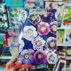 تخته شاسی مقوایی طرح بزرگسال – سایز A4 – کد کالا 3634