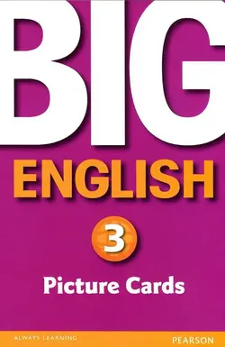 Big English 3 Flashcards