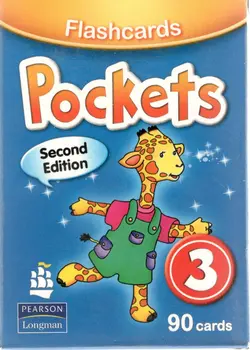 فلش کارت Pockets 3