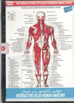 اطلس آناتومی بدن انسان