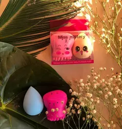 پک فیس براش و پد تخم مرغی