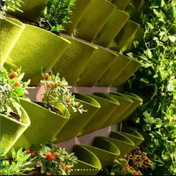 گرین وال بزرگ