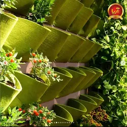 گرین وال بزرگ