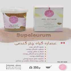 ماسک پودری عصاره چتر گندمی هیدروژلی هایلایف