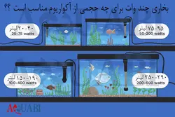 بخاری آکواریوم آکواتک ۲۰۰ وات AQ1300 با شیشه یدک