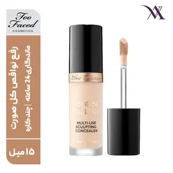 کانسیلر توفیسد بورن دیس وی Born This Way حجم 15 میلی لیتر