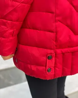 🆕3️⃣1️⃣7️⃣