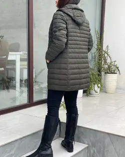 🆕4️⃣3️⃣1️⃣431