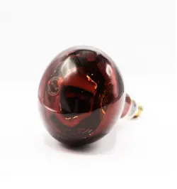 لامپ مادون قرمز 250 وات پرسا