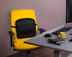 پشتی طبی باراد مدل LS1