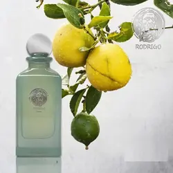 عطرمردانه رودریگو Rodrigo اوکلاویو Oclavio اسانس ورساچ اروس - لوزام آرایشی بهداشتی بهنام