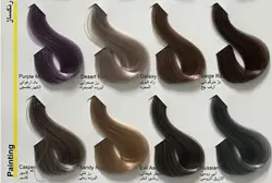 رنگ مو پیگو گروه رنگی رنگساژ - لوزام آرایشی بهداشتی بهنام