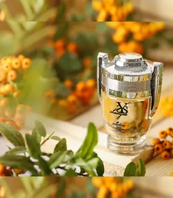 ادو پرفیوم مردانه شمیاس مدل اینوکتوس (Invictus) حجم ۳۰ ml - لوزام آرایشی بهداشتی بهنام