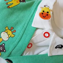 سه تیکه زرافه