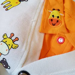 سه تیکه زرافه