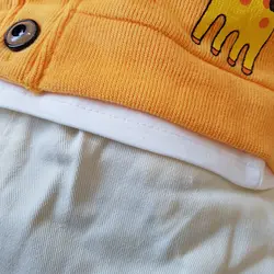 سه تیکه زرافه