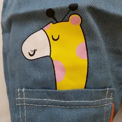 دو تیکه زرافه