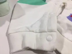 سرهمی دایناسور