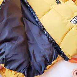 کاپشن بادی هاپو