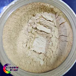 پودر بژ صدفی 250 گرم - فروشگاه چوبین رنگ