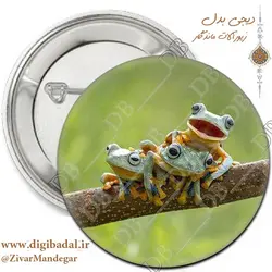 پیکسل قورباغه طرح 1