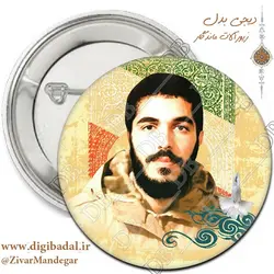 پیکسل شهید ابراهیمی طرح 1 (پیکسل-جاسوییچی)