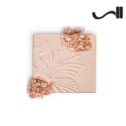 هایلایتر پودری مگا گلو وت اند وایلد(E319B)MegaGlo