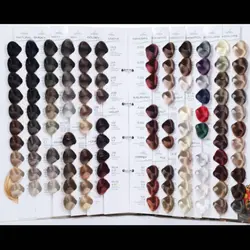 رنگ مو بیوداکس شماره BC250 شنی صحرایی Doxe Haie Color Specialy Formulated 125 m