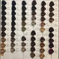 رنگ مو بیوداکس شماره BC250 شنی صحرایی Doxe Haie Color Specialy Formulated 125 m