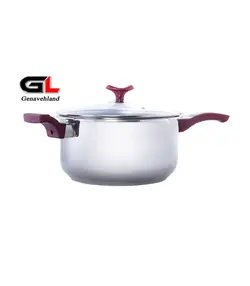 زودپز دسینی دسته دار 5 لیتر