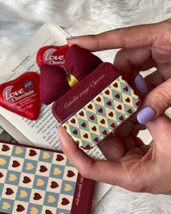 کاور ایرپاد استایلیش پاپیون زرشکی