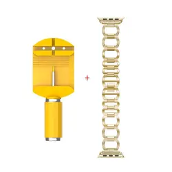 بند اپل واچ کارتیر حلقه ای