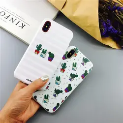قاب کاکتوس صورتی