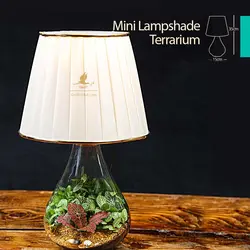 تراریوم شیشه ای مینی پوپک (مدل ساده یا آباژوردار)