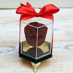 پکیج سبد گل رز جاودان ، عروسک و شکلات Jasmine