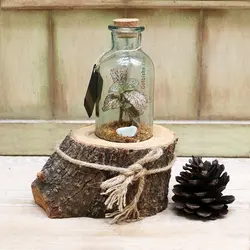 سِت دکوری تراریوم مدل Greenwood