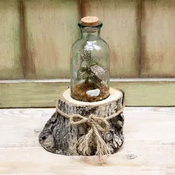 سِت دکوری تراریوم مدل Greenwood